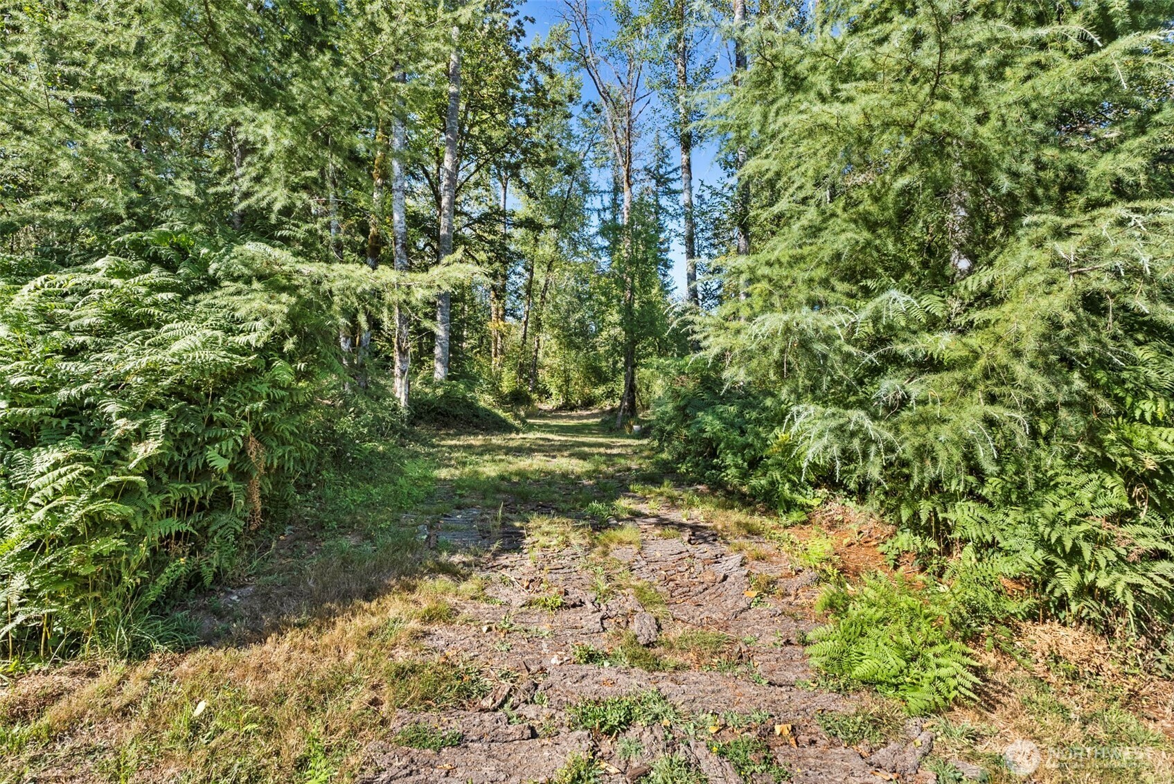 285 Justus Rd Property Photo 4