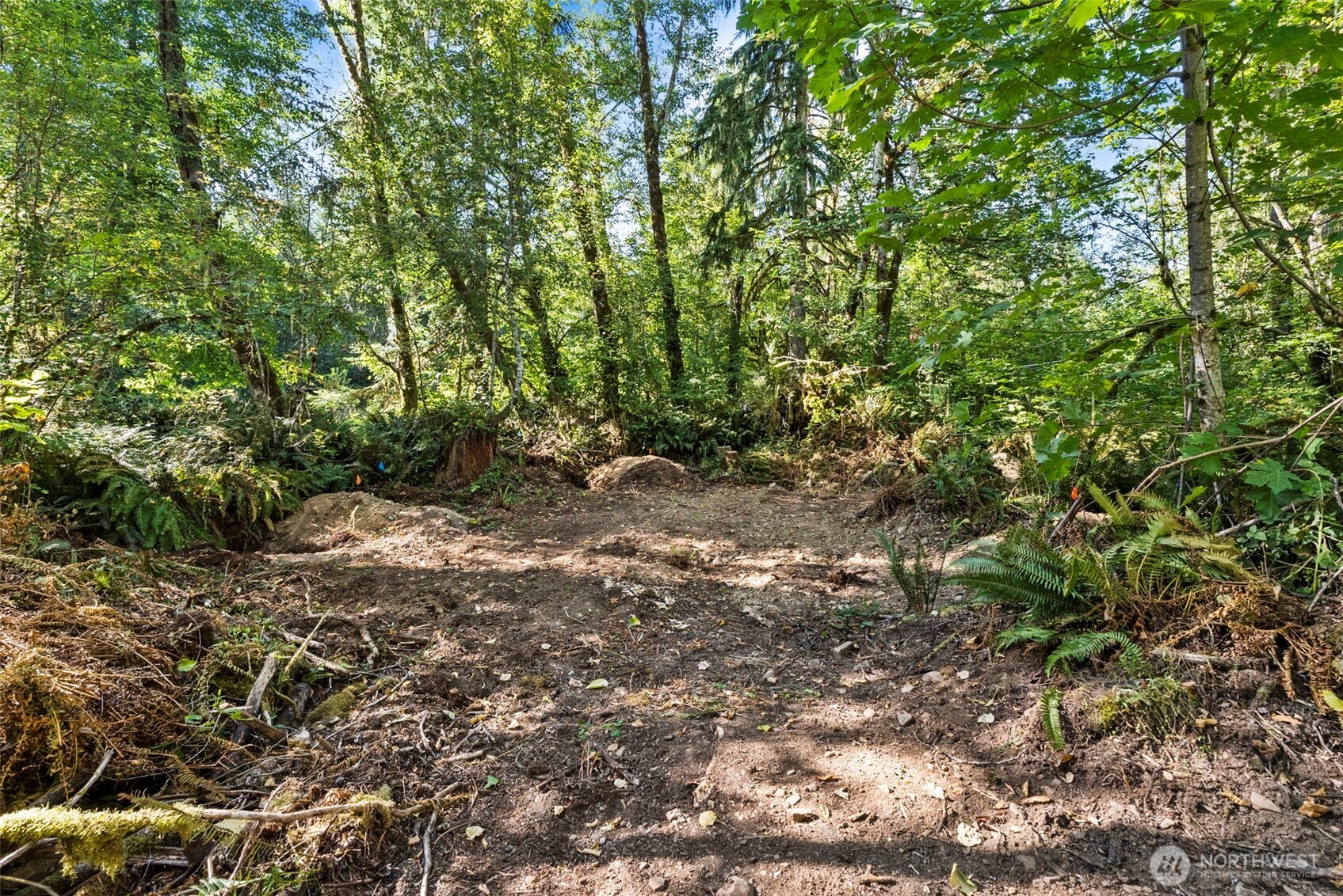 285 Justus Rd Property Photo 5