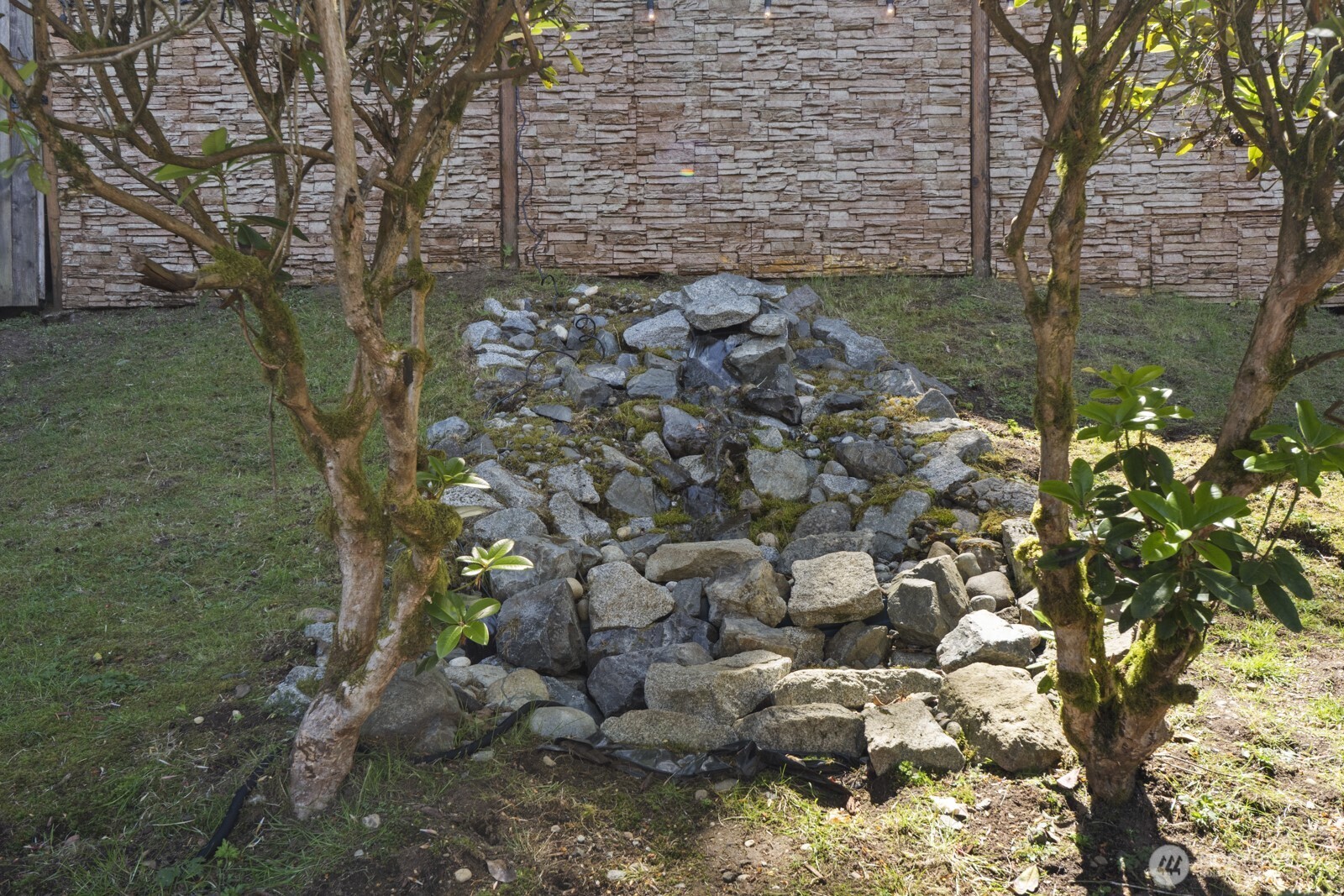 6108 133rd Place Property Photo 5