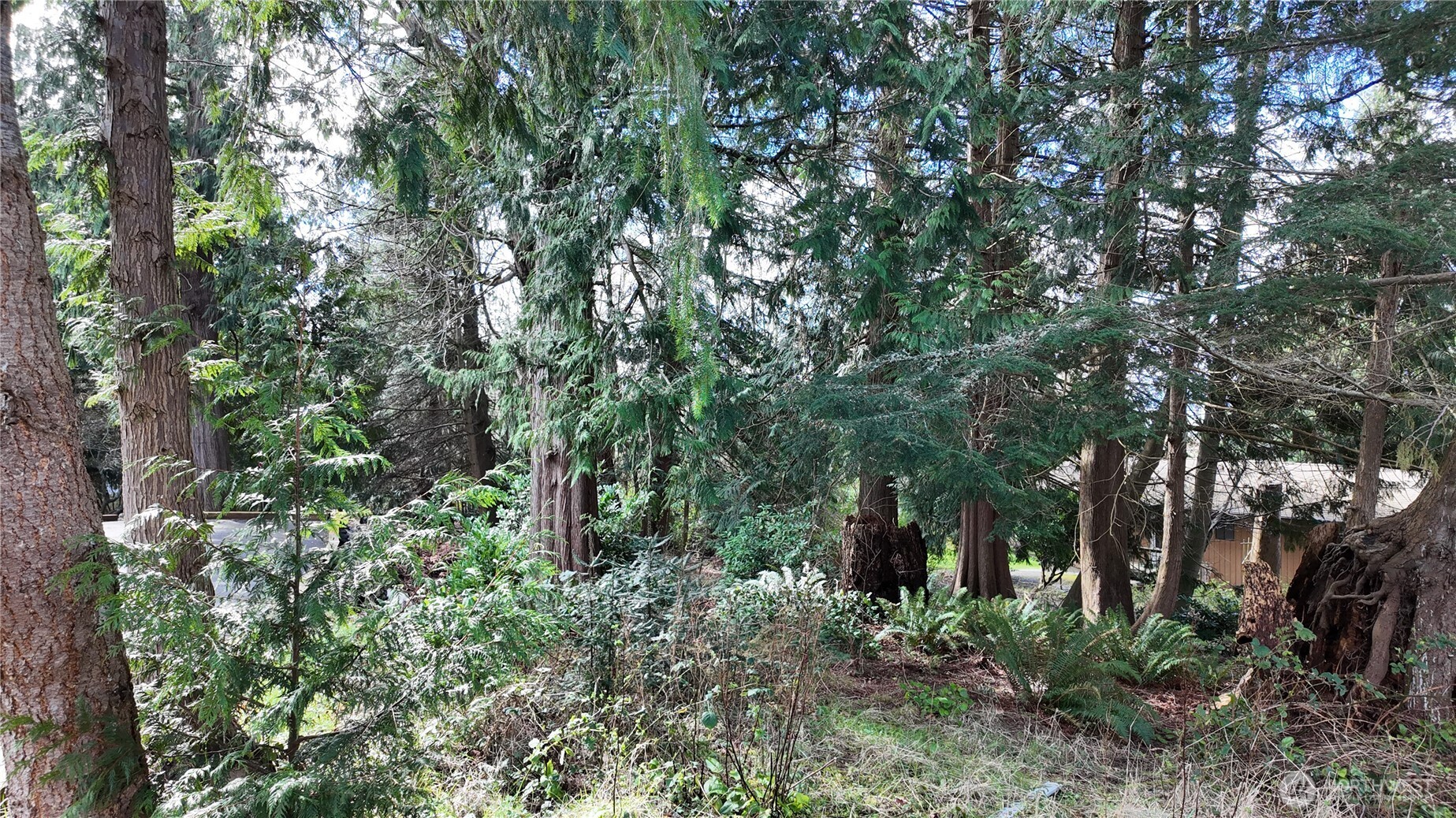 792 Shelter Bay Dr Property Photo 3