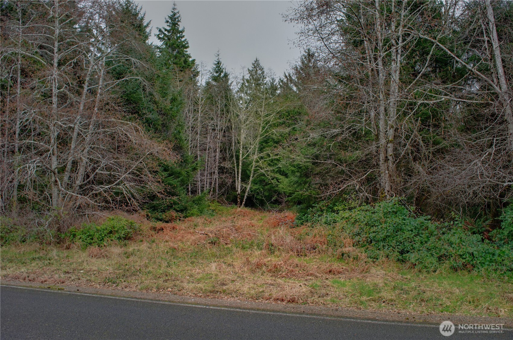 56 Ranta Road Property Photo 1