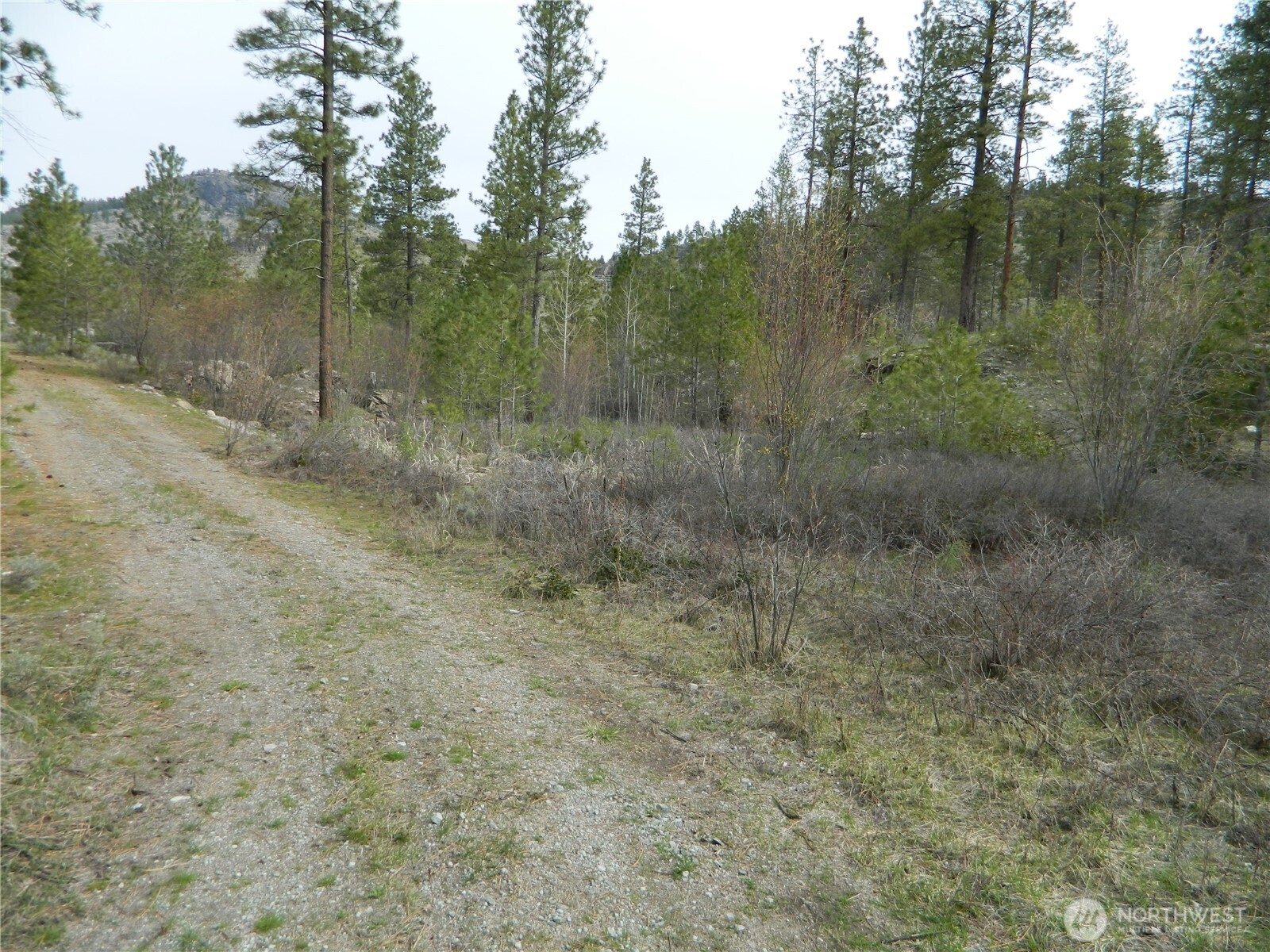 357 Swanson Mill Road Property Photo 13