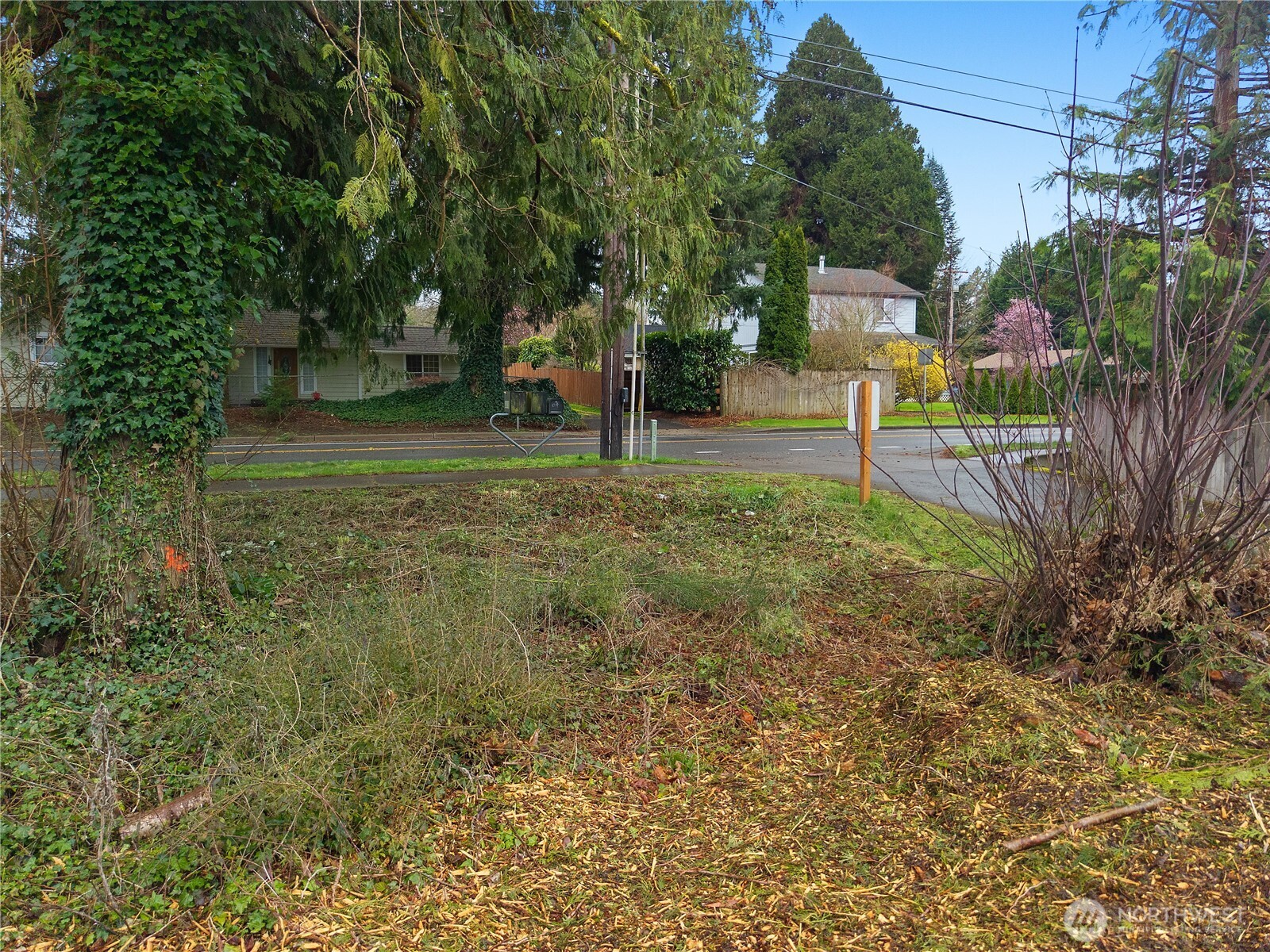 3008 18th Avenue Property Photo 4