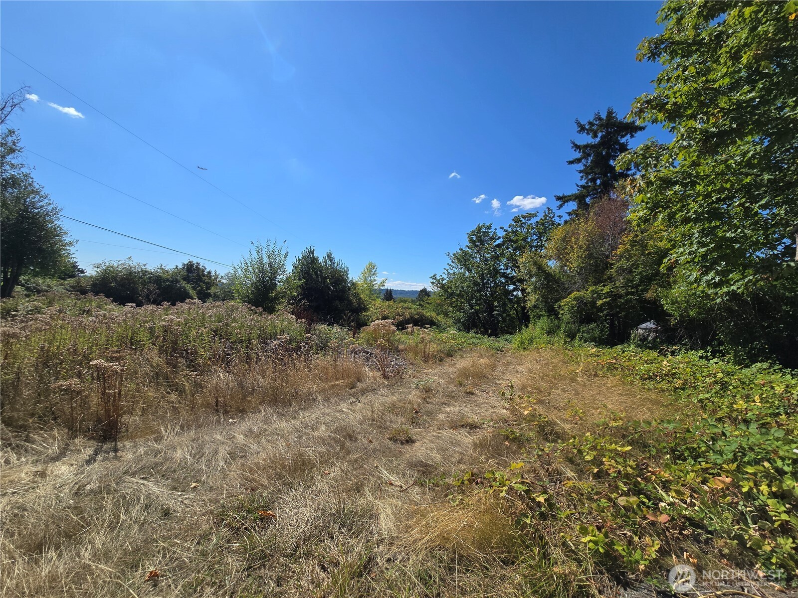 3106 Talbot Road Lot 2 Property Photo 18