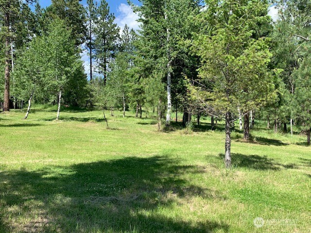 35 Low Ridge Road Property Photo 31