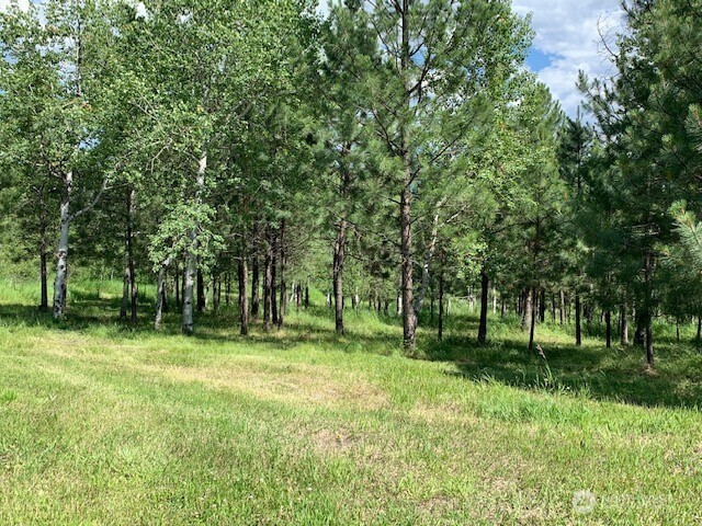35 Low Ridge Road Property Photo 32