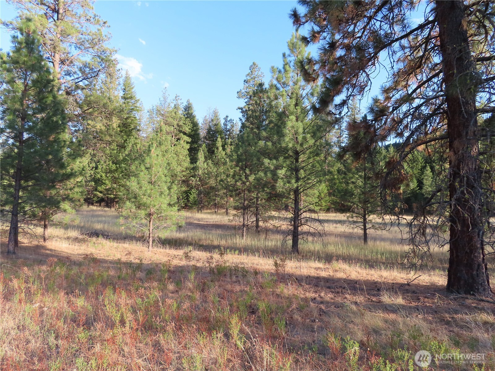 0 Toroda Creek Road Property Photo 1