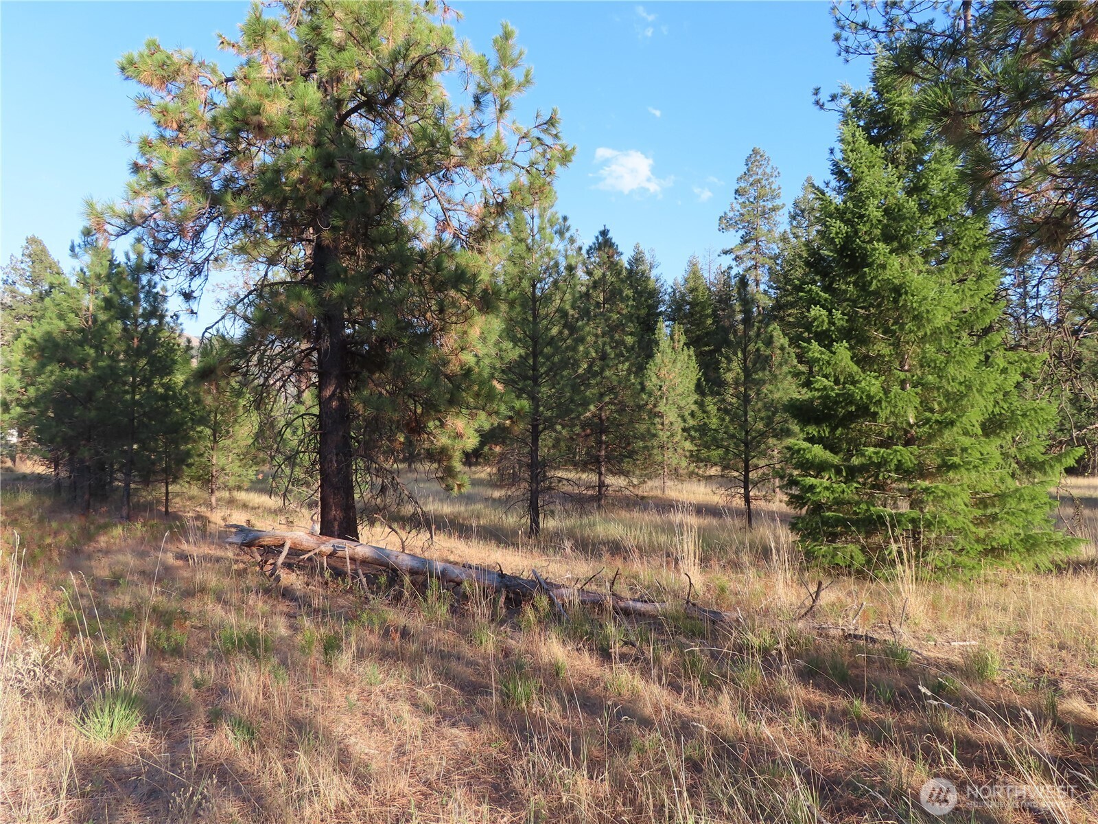 0 Toroda Creek Road Property Photo 3