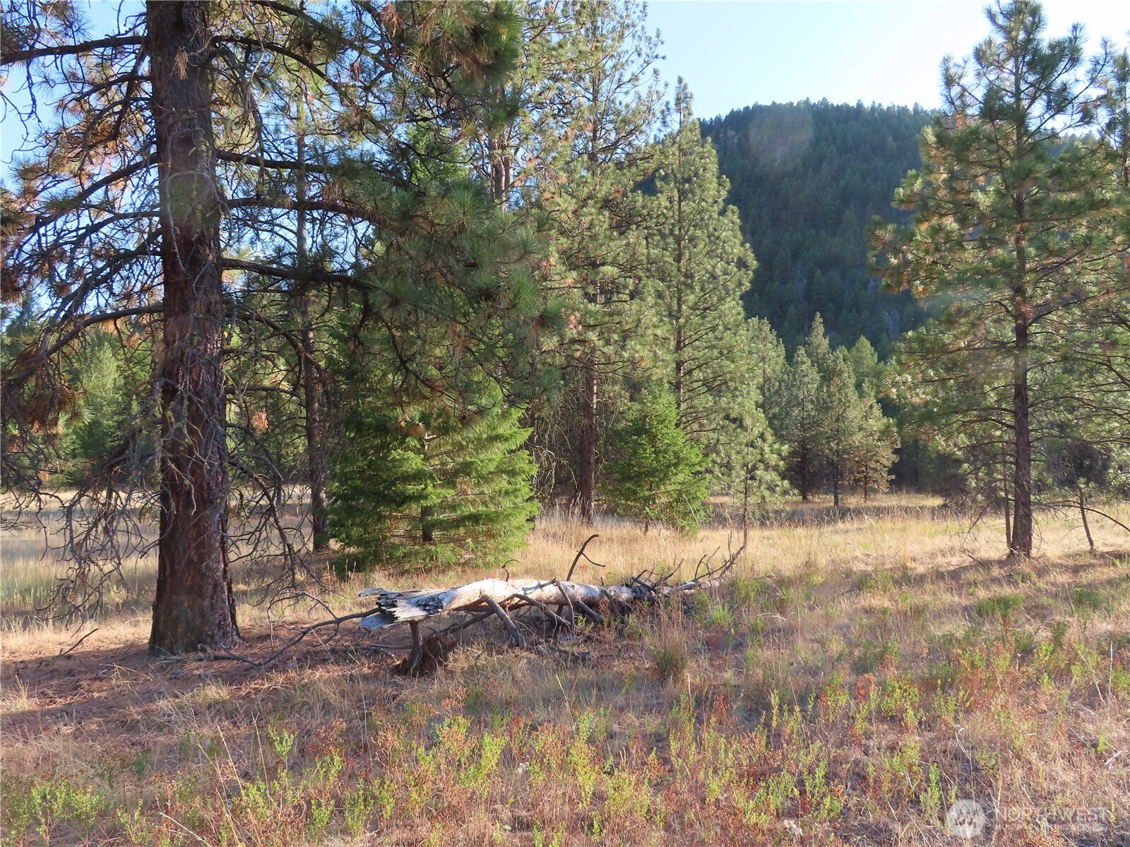 0 Toroda Creek Road Property Photo 4