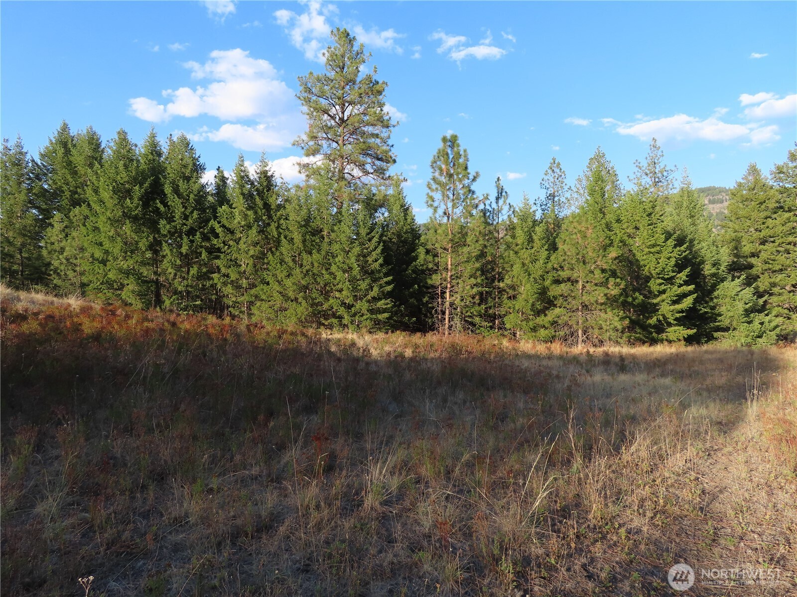 0 Toroda Creek Road Property Photo 5