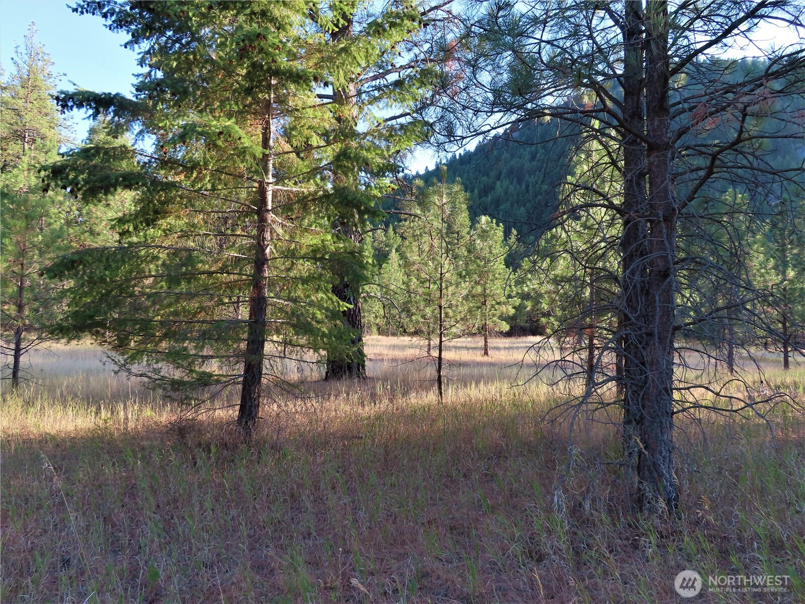 0 Toroda Creek Road Property Photo 6