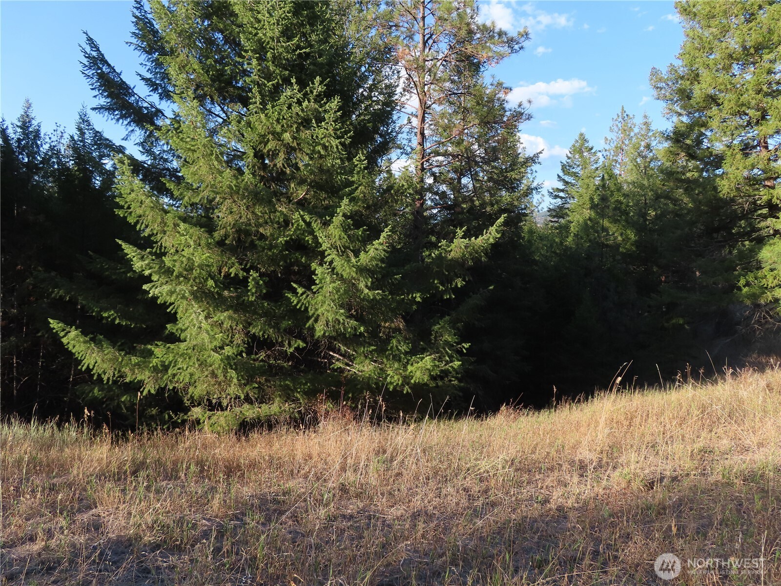 0 Toroda Creek Road Property Photo 7