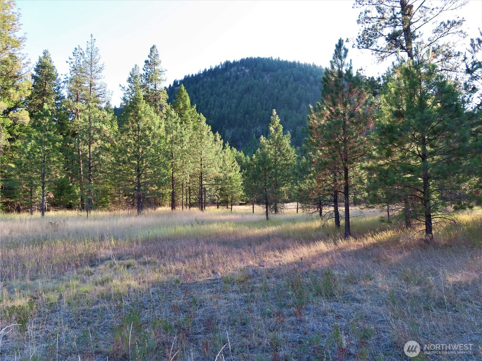 0 Toroda Creek Road Property Photo 8