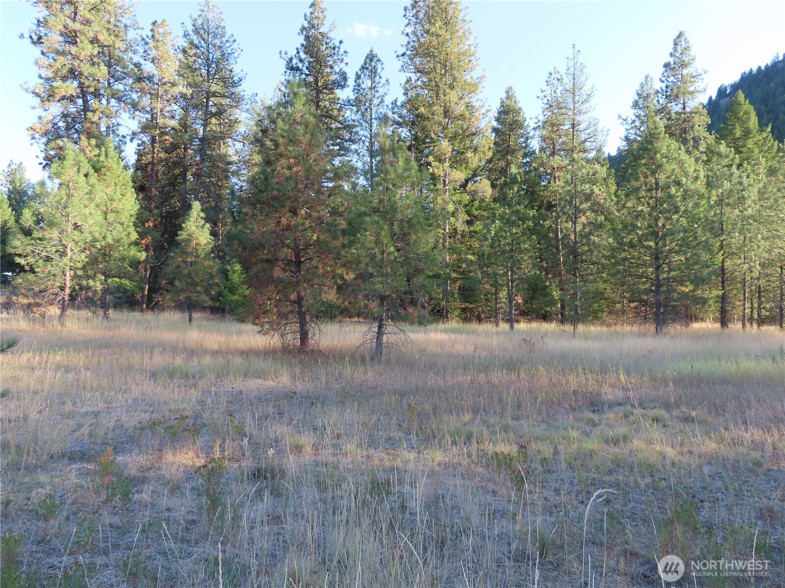 0 Toroda Creek Road Property Photo 9
