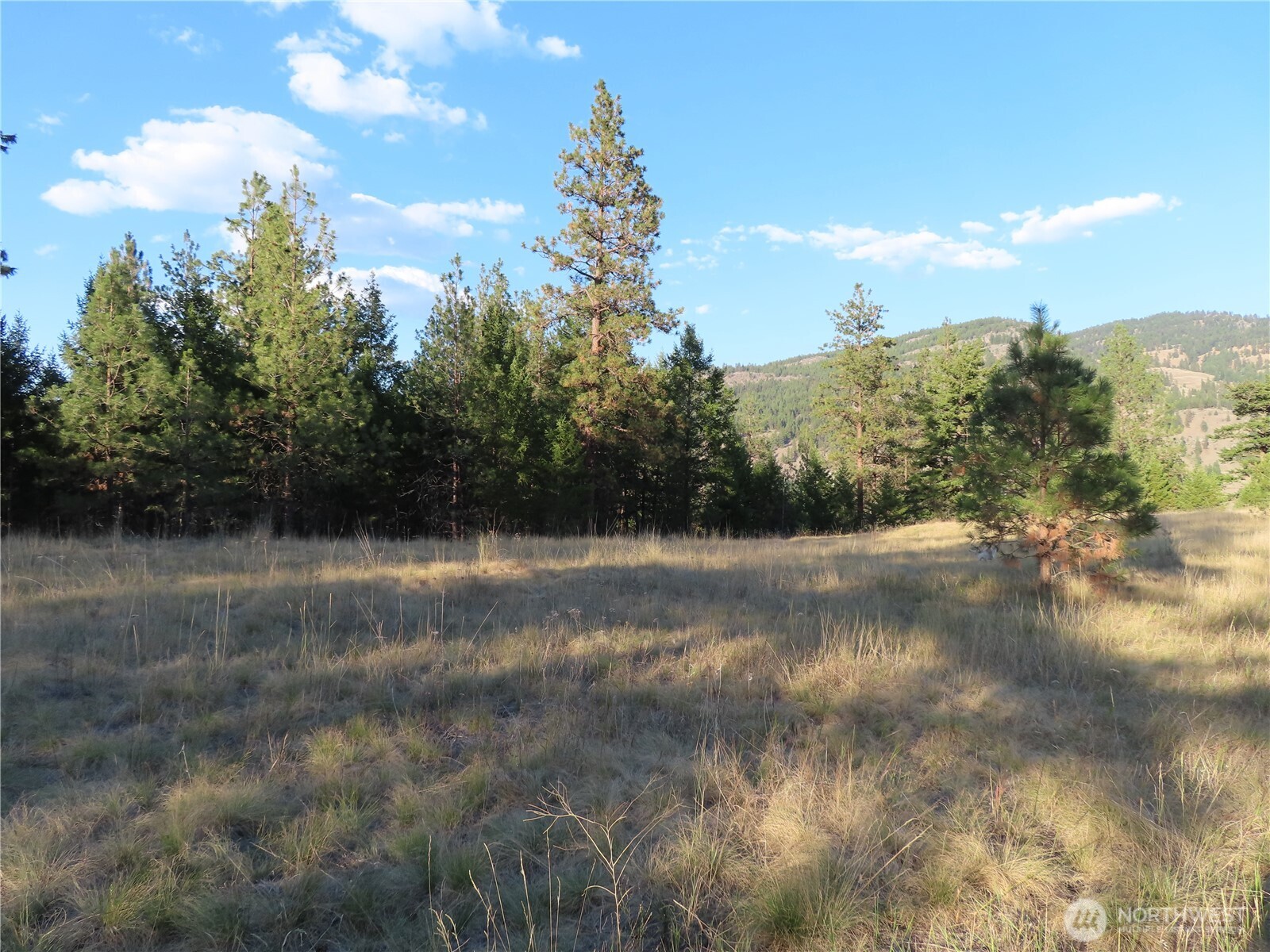0 Toroda Creek Road Property Photo 10