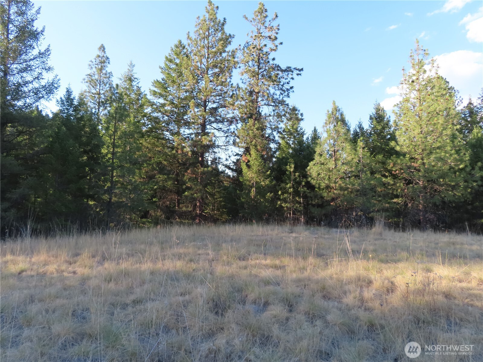 0 Toroda Creek Road Property Photo 11