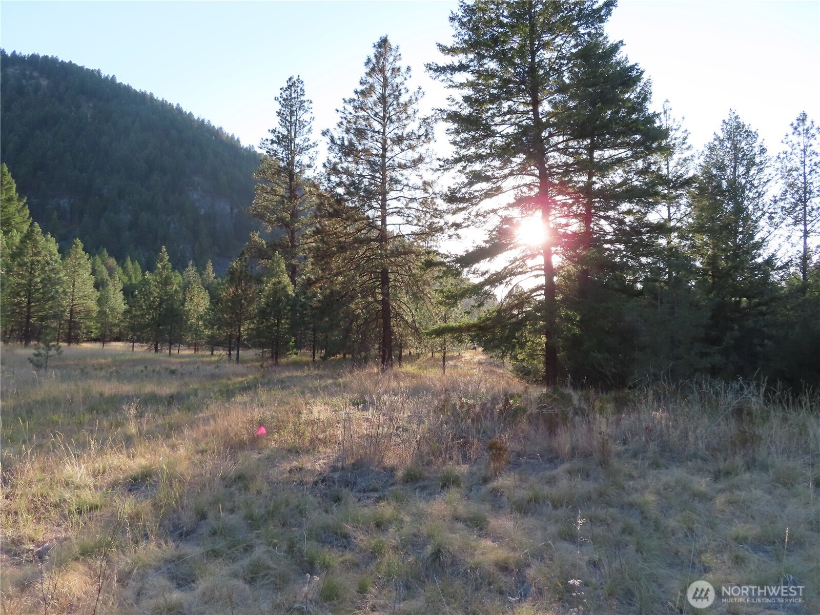 0 Toroda Creek Road Property Photo 12