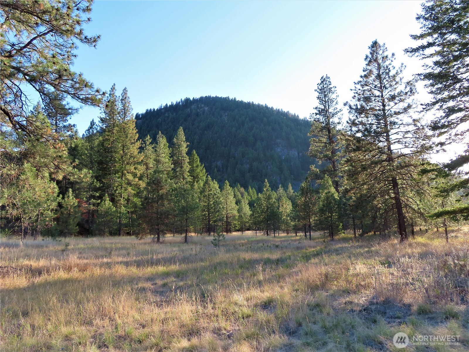 0 Toroda Creek Road Property Photo 13