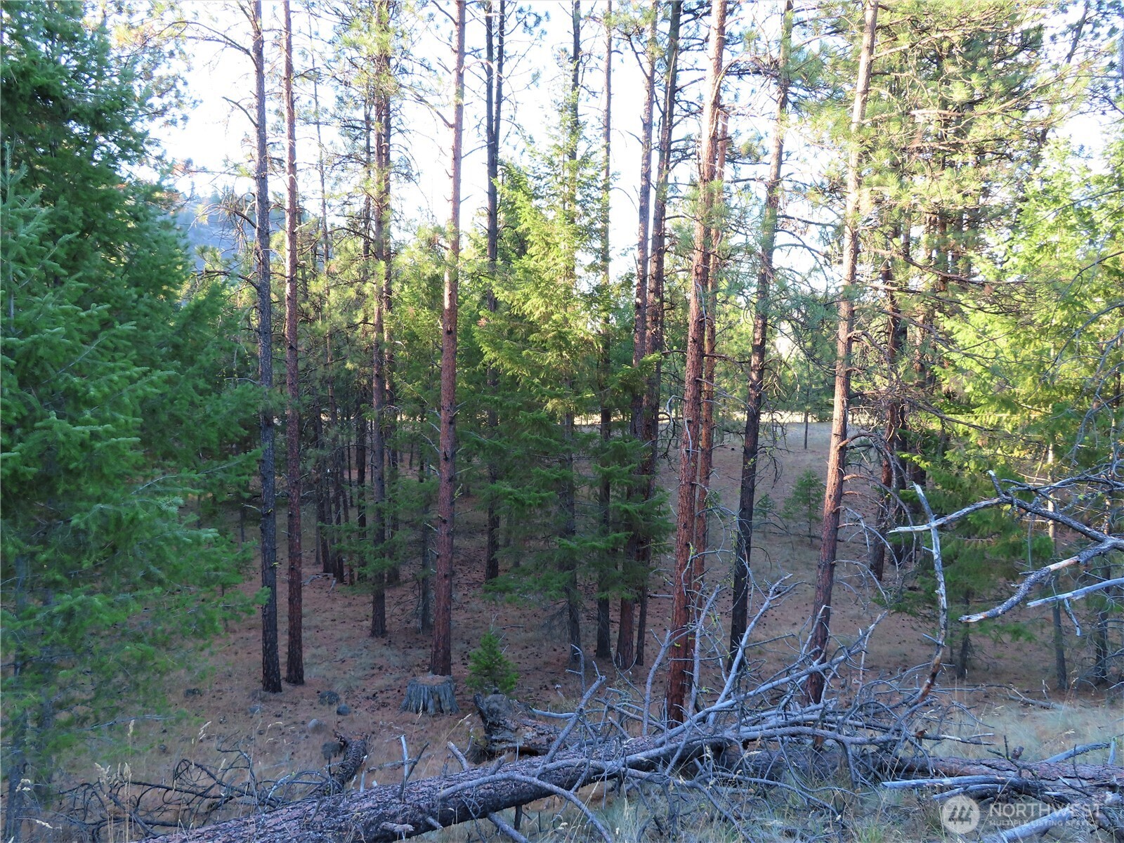 0 Toroda Creek Road Property Photo 14