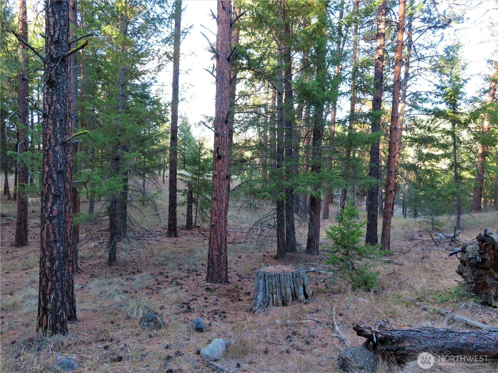 0 Toroda Creek Road Property Photo 15