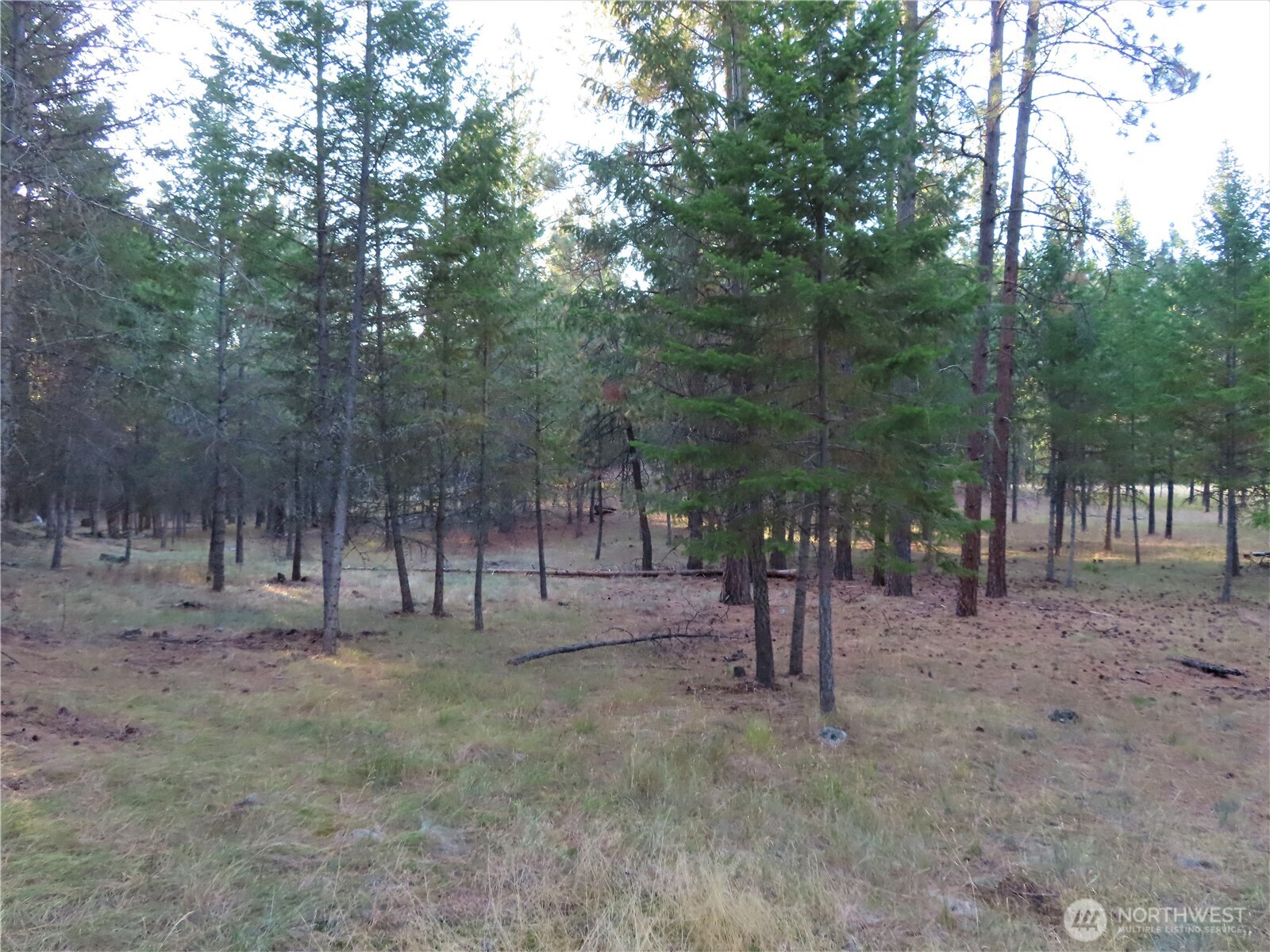 0 Toroda Creek Road Property Photo 16