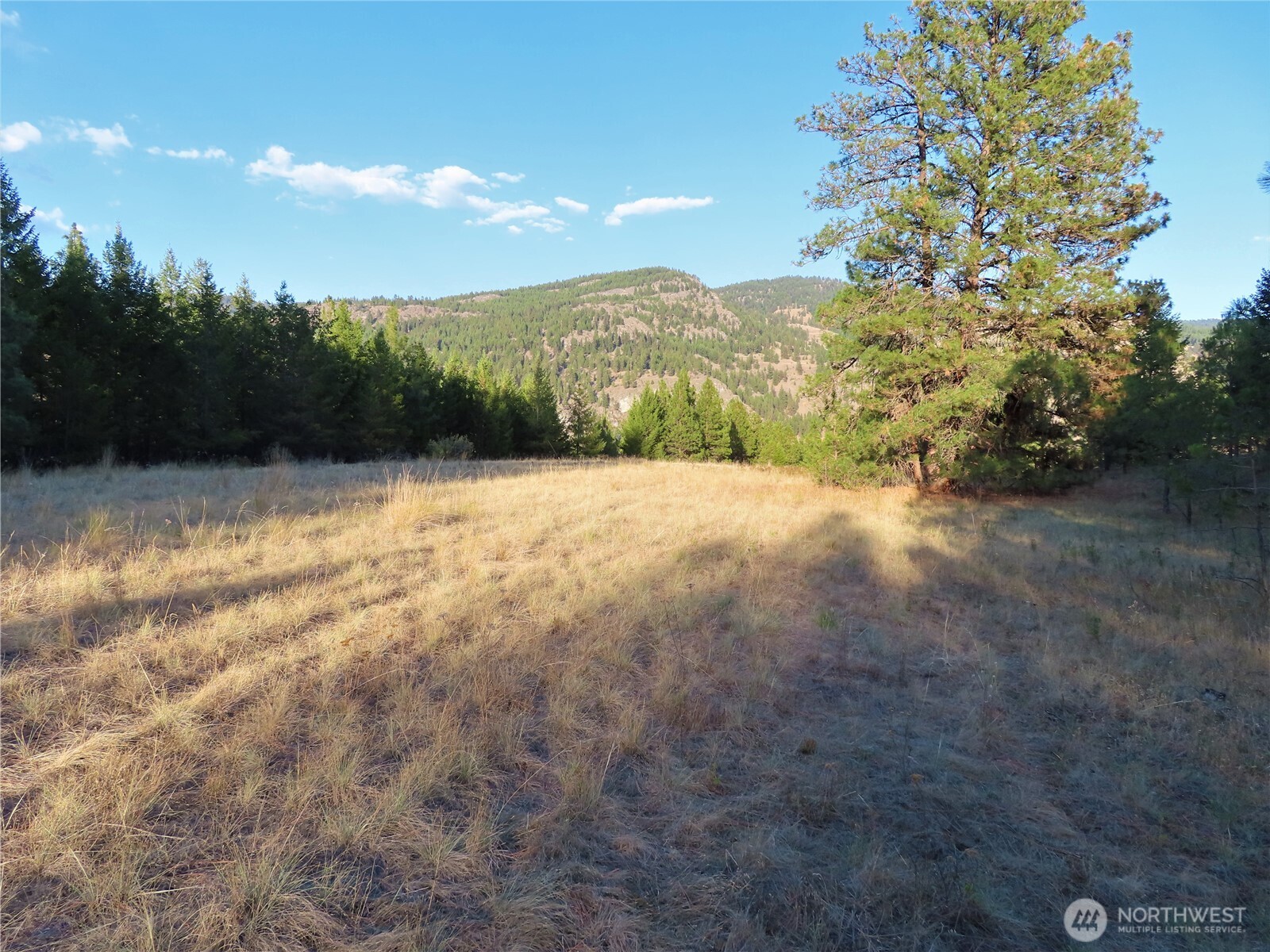 0 Toroda Creek Road Property Photo 18