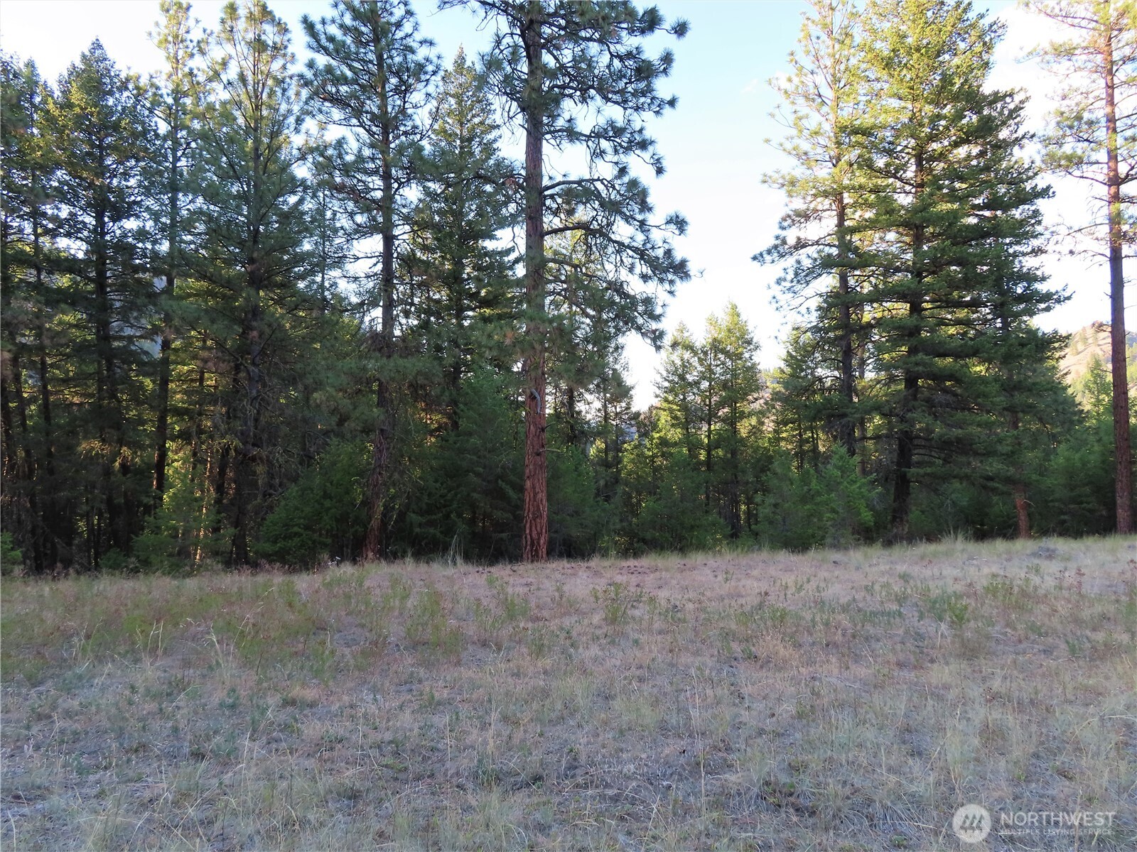 0 Toroda Creek Road Property Photo 19