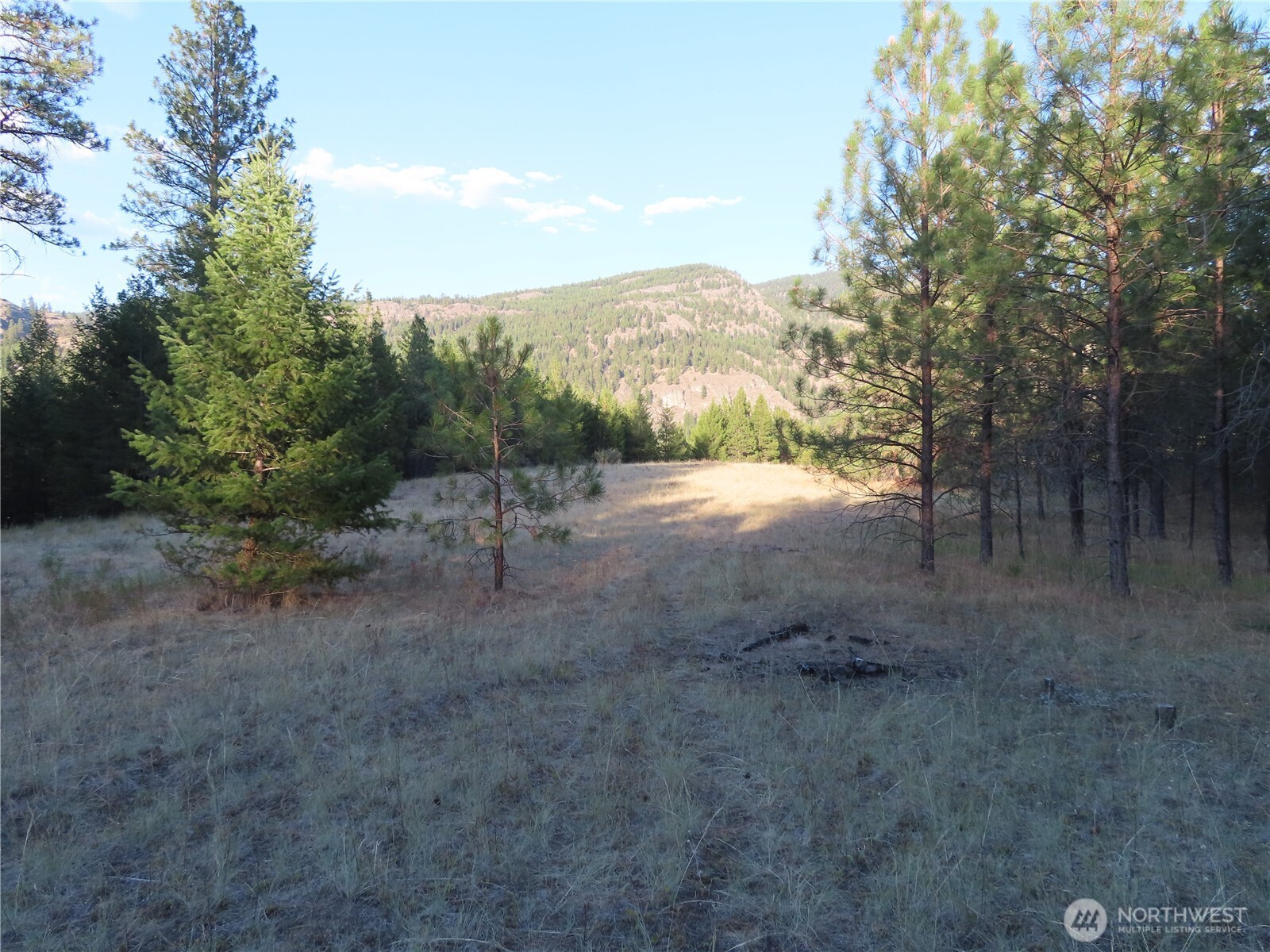 0 Toroda Creek Road Property Photo 20