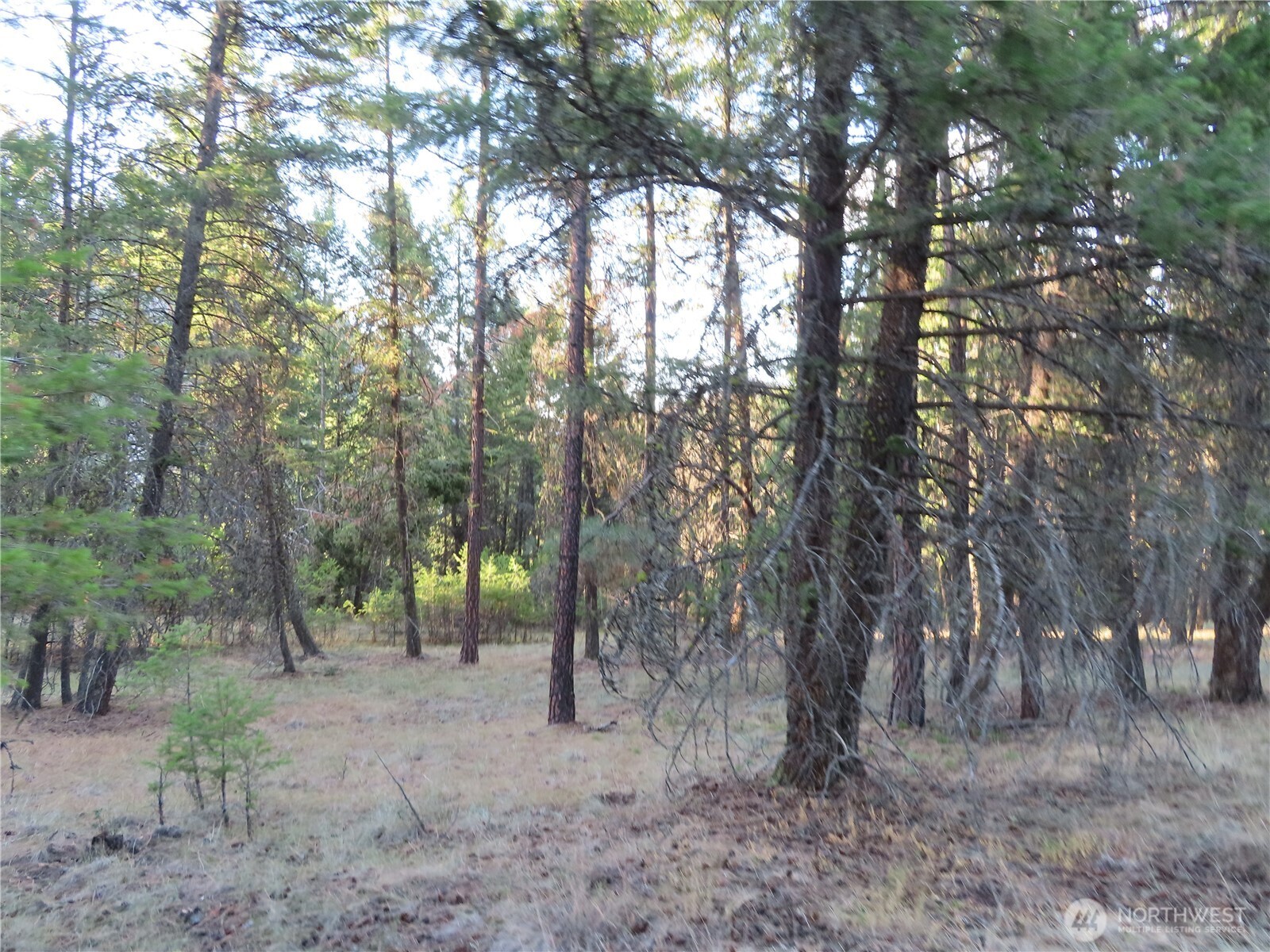 0 Toroda Creek Road Property Photo 21