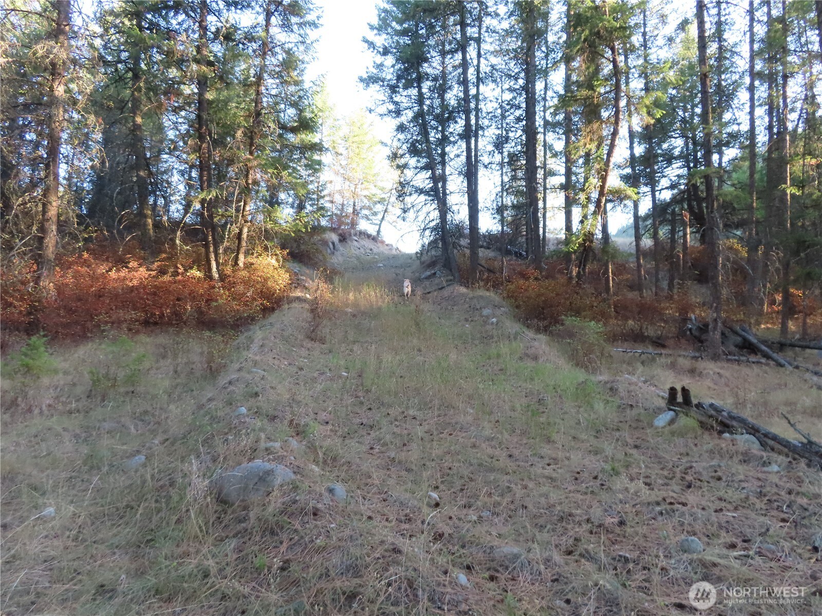 0 Toroda Creek Road Property Photo 23