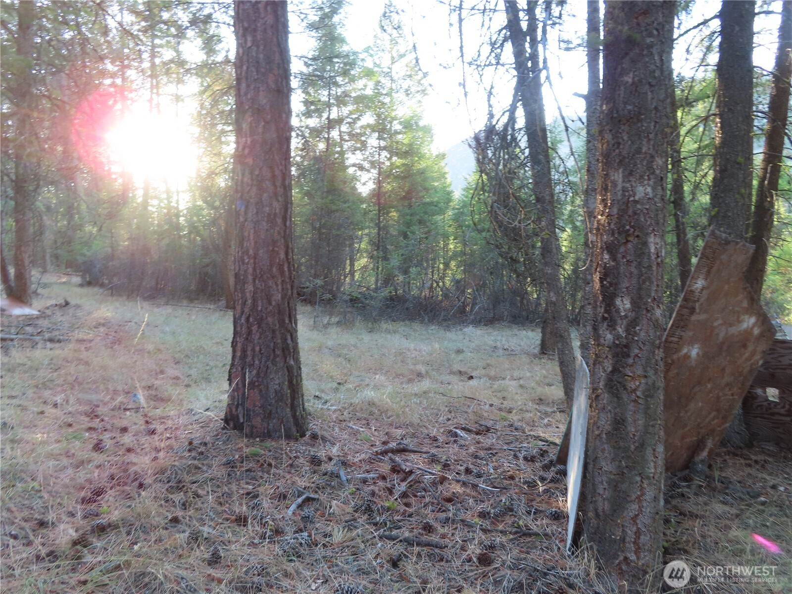 0 Toroda Creek Road Property Photo 24