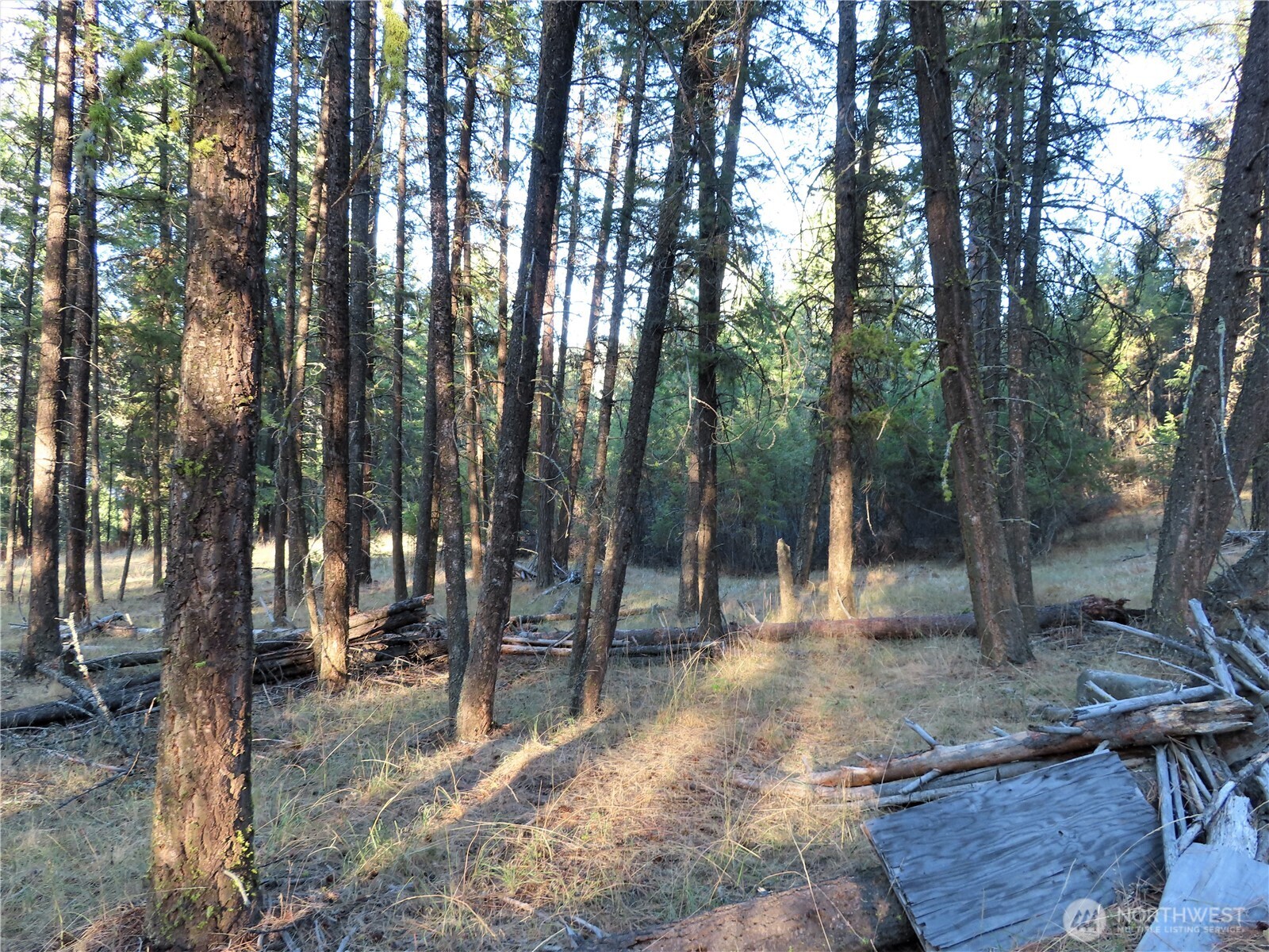 0 Toroda Creek Road Property Photo 25