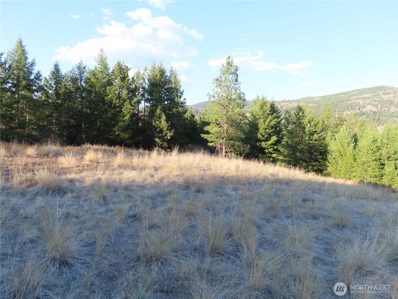 0 Toroda Creek Road Property Photo 26