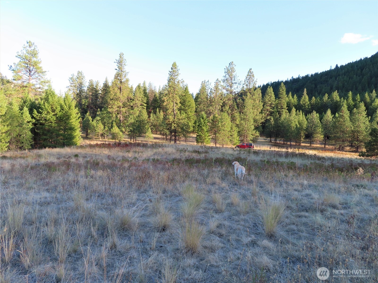 0 Toroda Creek Road Property Photo 27