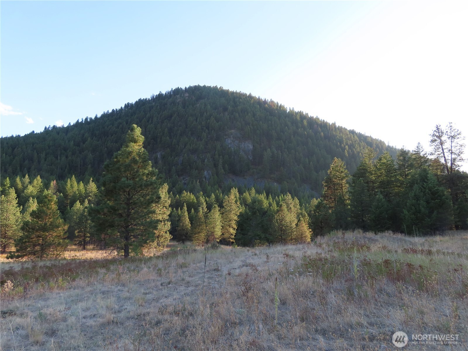 0 Toroda Creek Road Property Photo 28