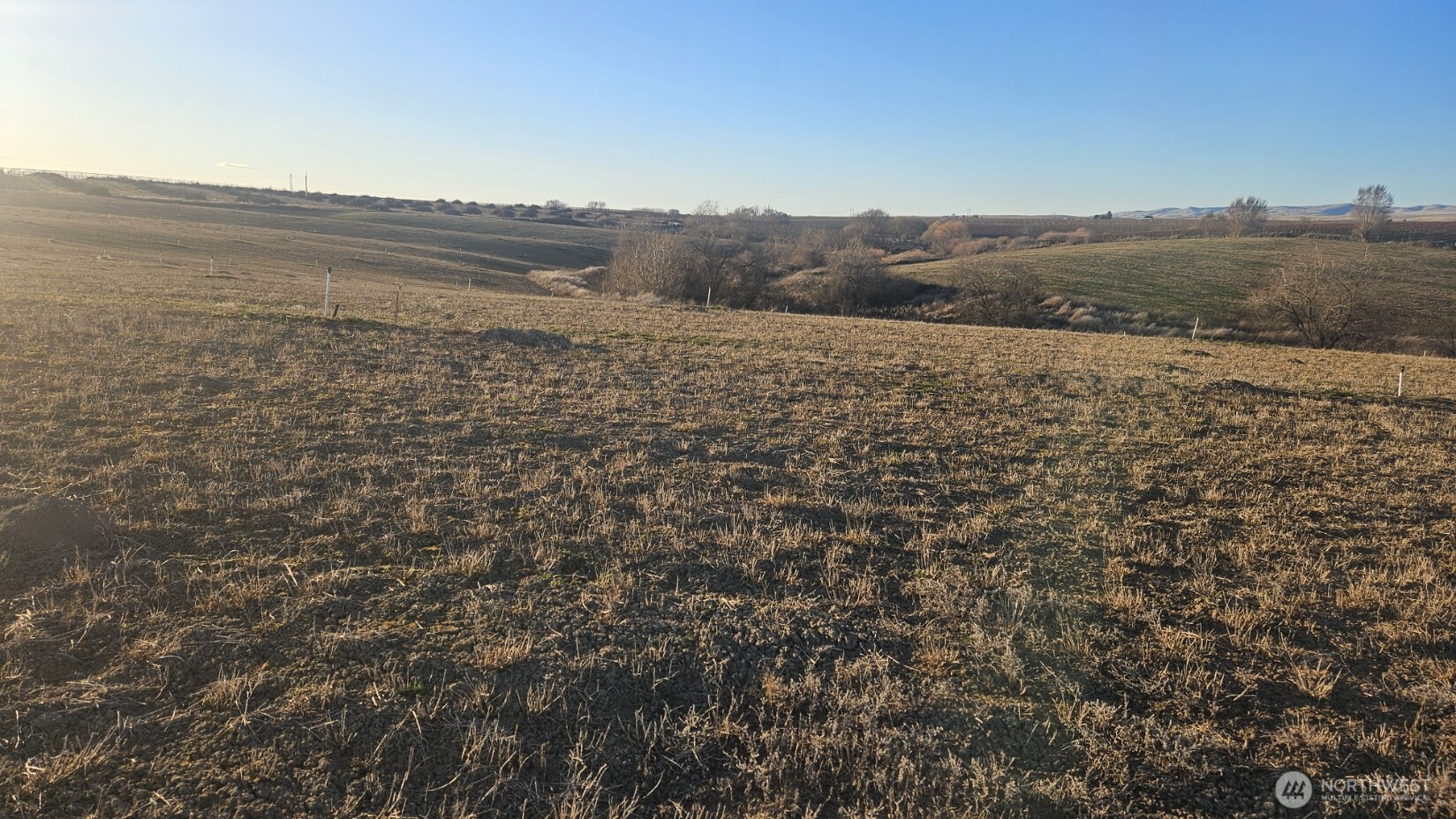 125498 W Mccreadie Property Photo 10