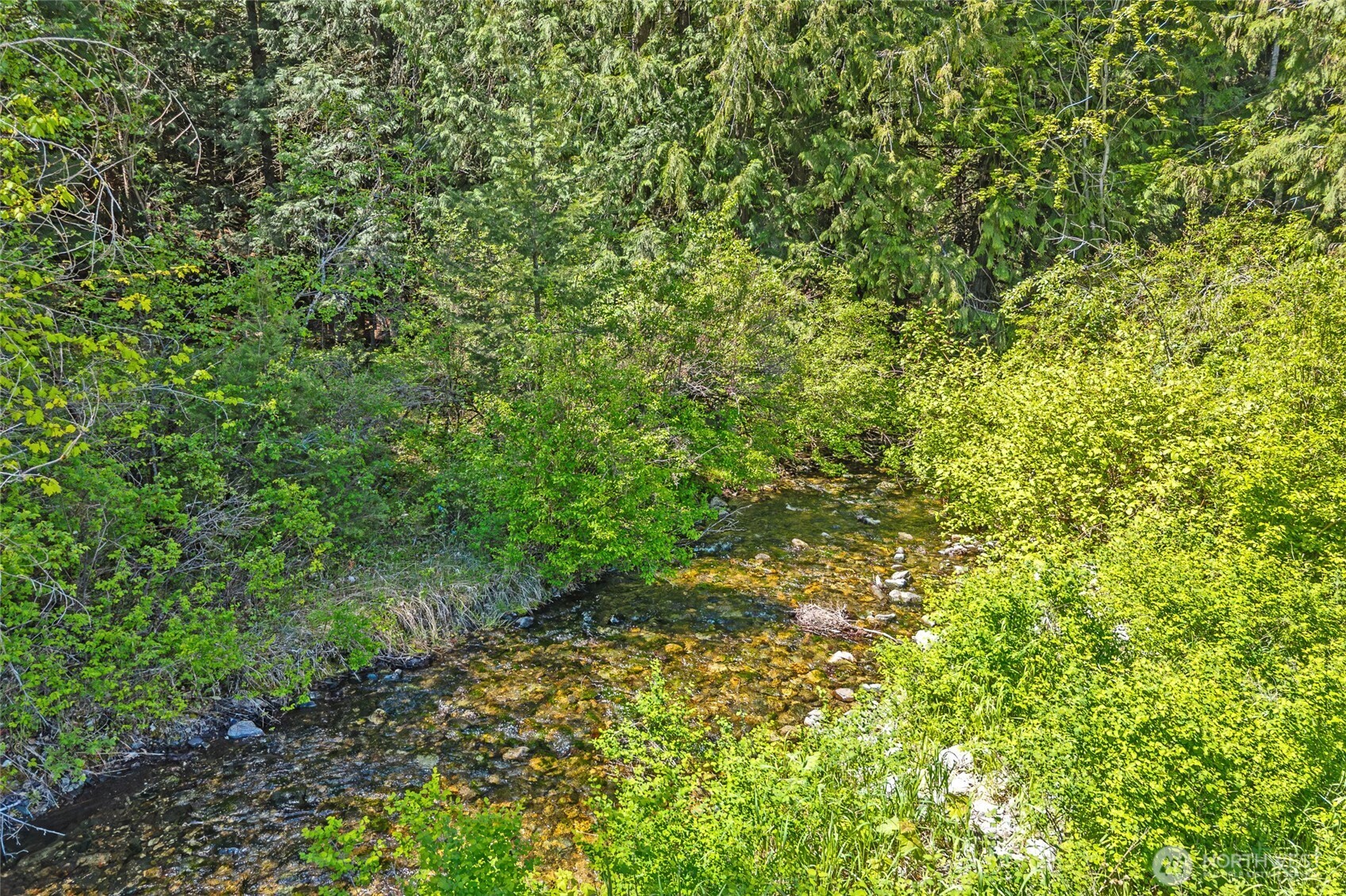 361 Lone Ranch Creek Rd Property Photo 23