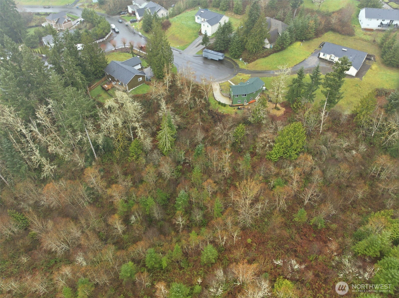 1700 Maple Valley Drive Property Photo 5