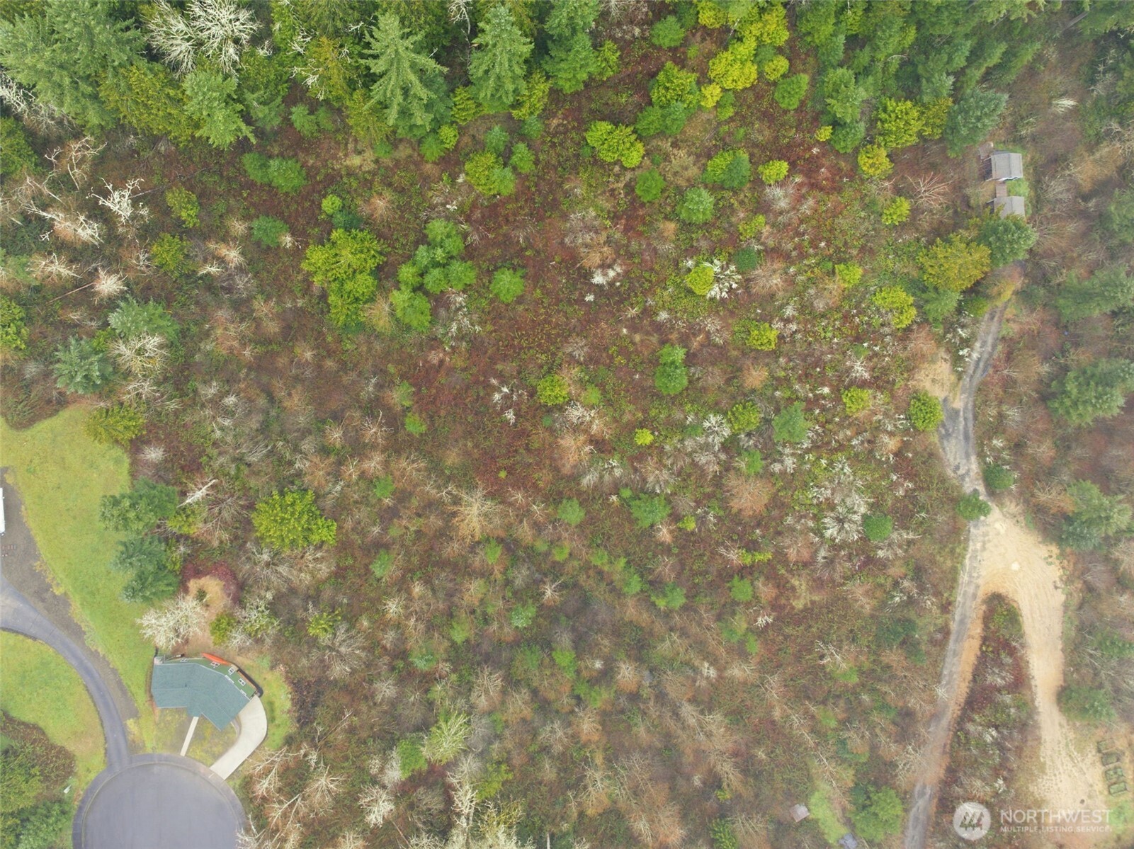 1700 Maple Valley Drive Property Photo 6