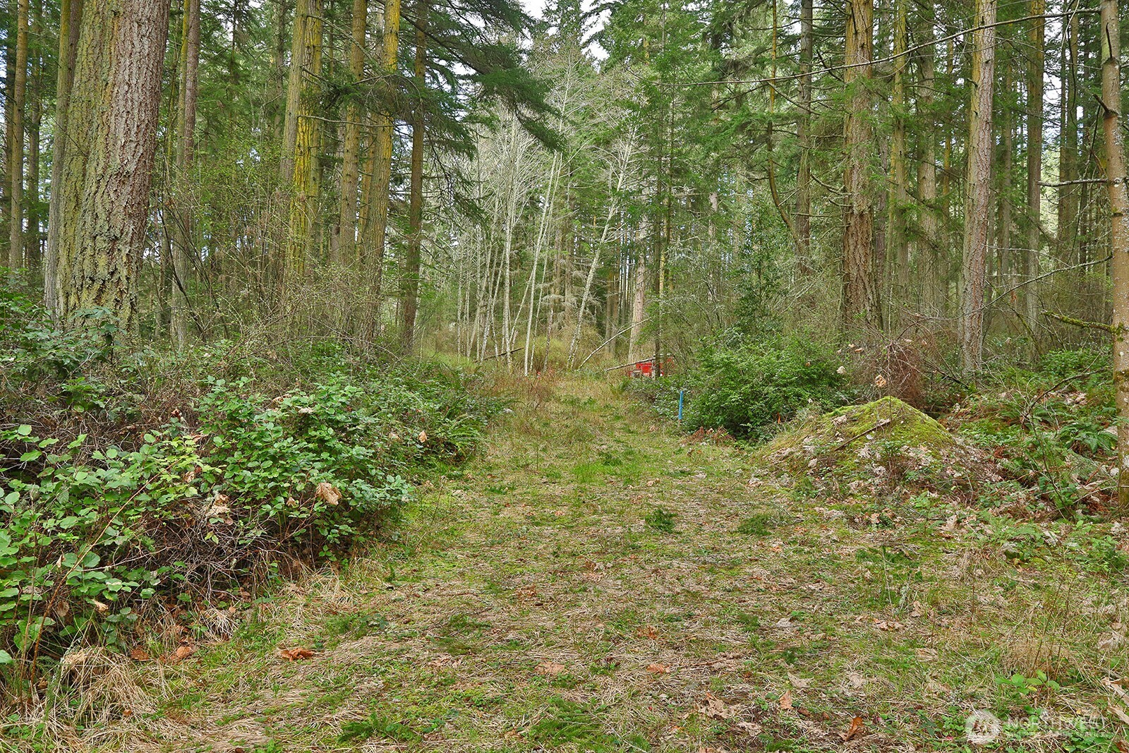 0 Xxx Mutiny Bay Road Property Photo 9