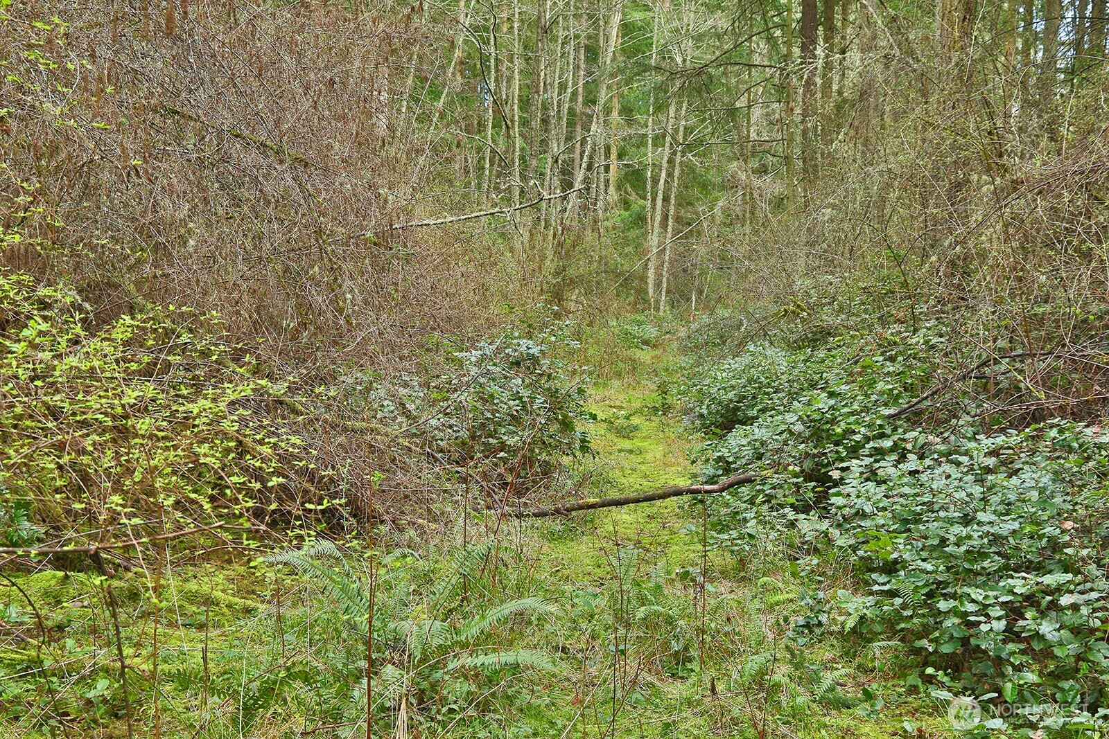0 Xxx Mutiny Bay Road Property Photo 10