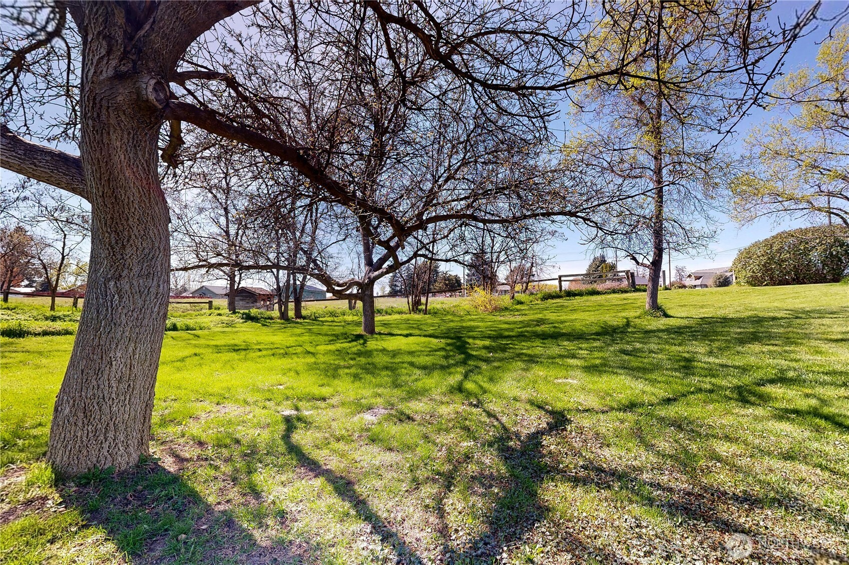 457 Prospect Avenue Property Photo 36