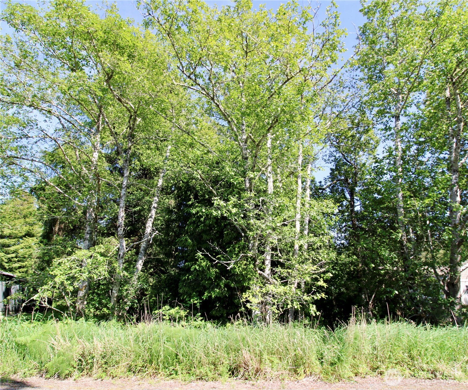 32206 R Place Property Photo 6