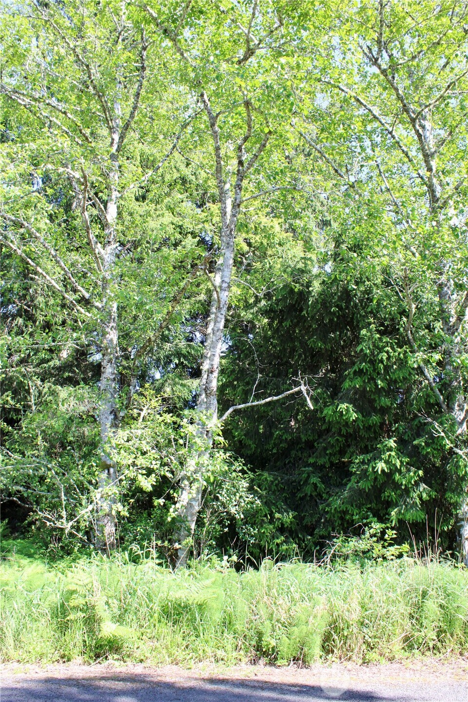 32206 R Place Property Photo 9