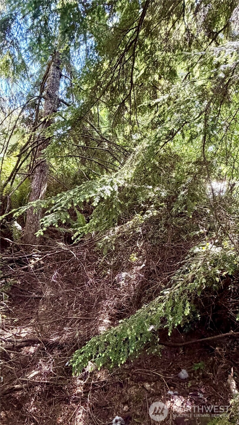32206 R Place Property Photo 11