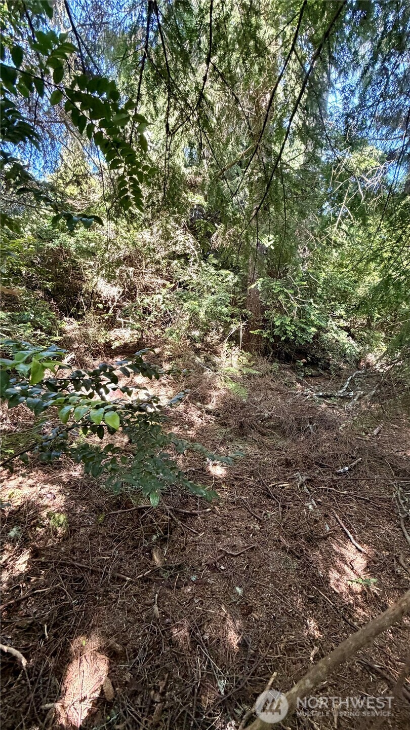 32206 R Place Property Photo 12