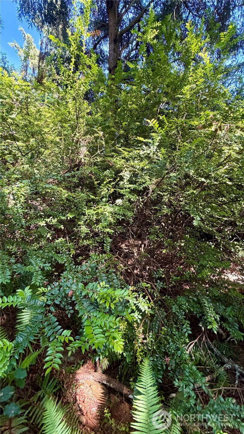 32206 R Place Property Photo 13