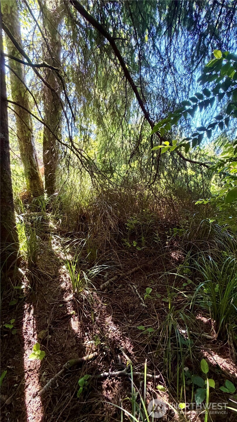 32206 R Place Property Photo 15