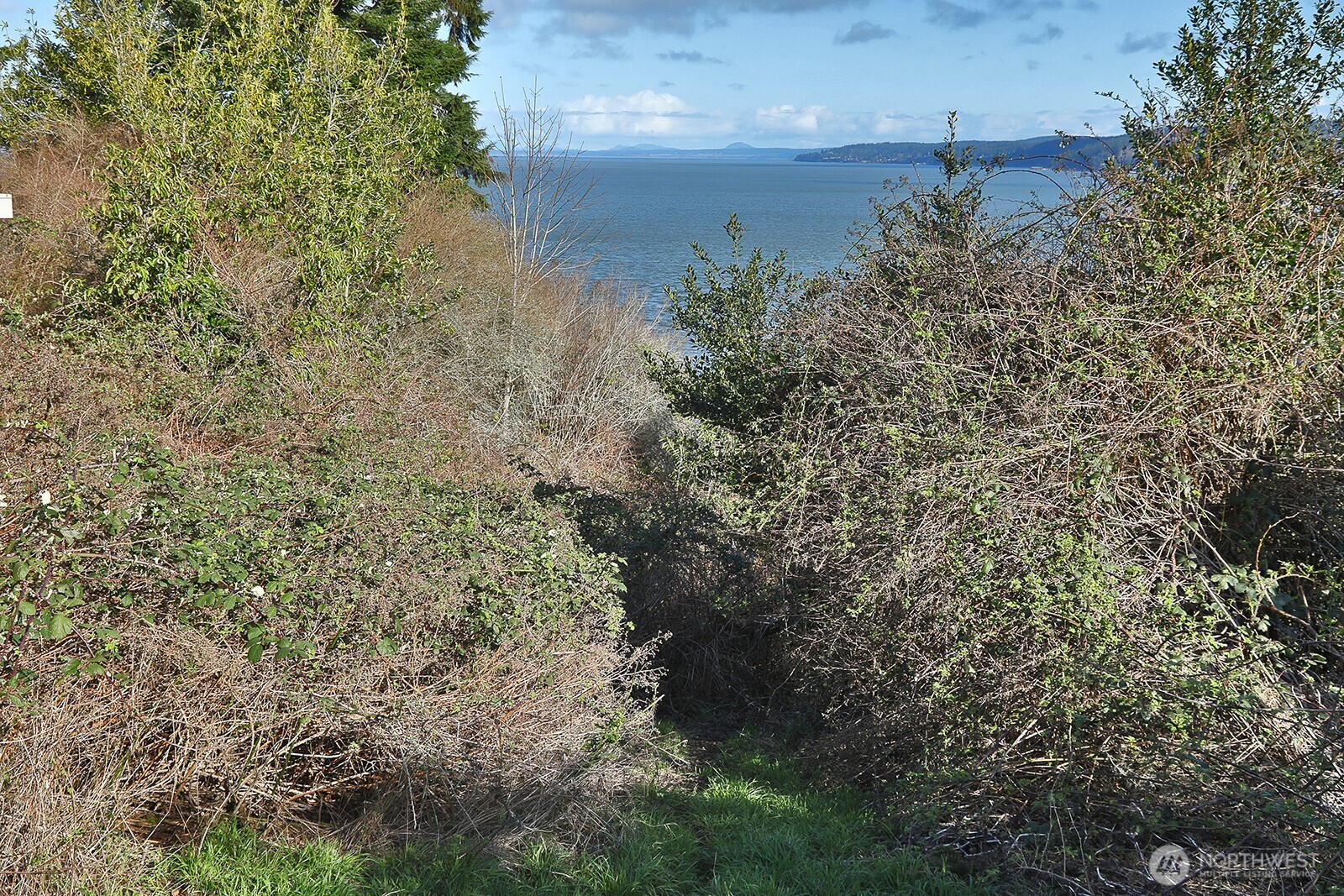 0 Salmonberry Road Property Photo 6
