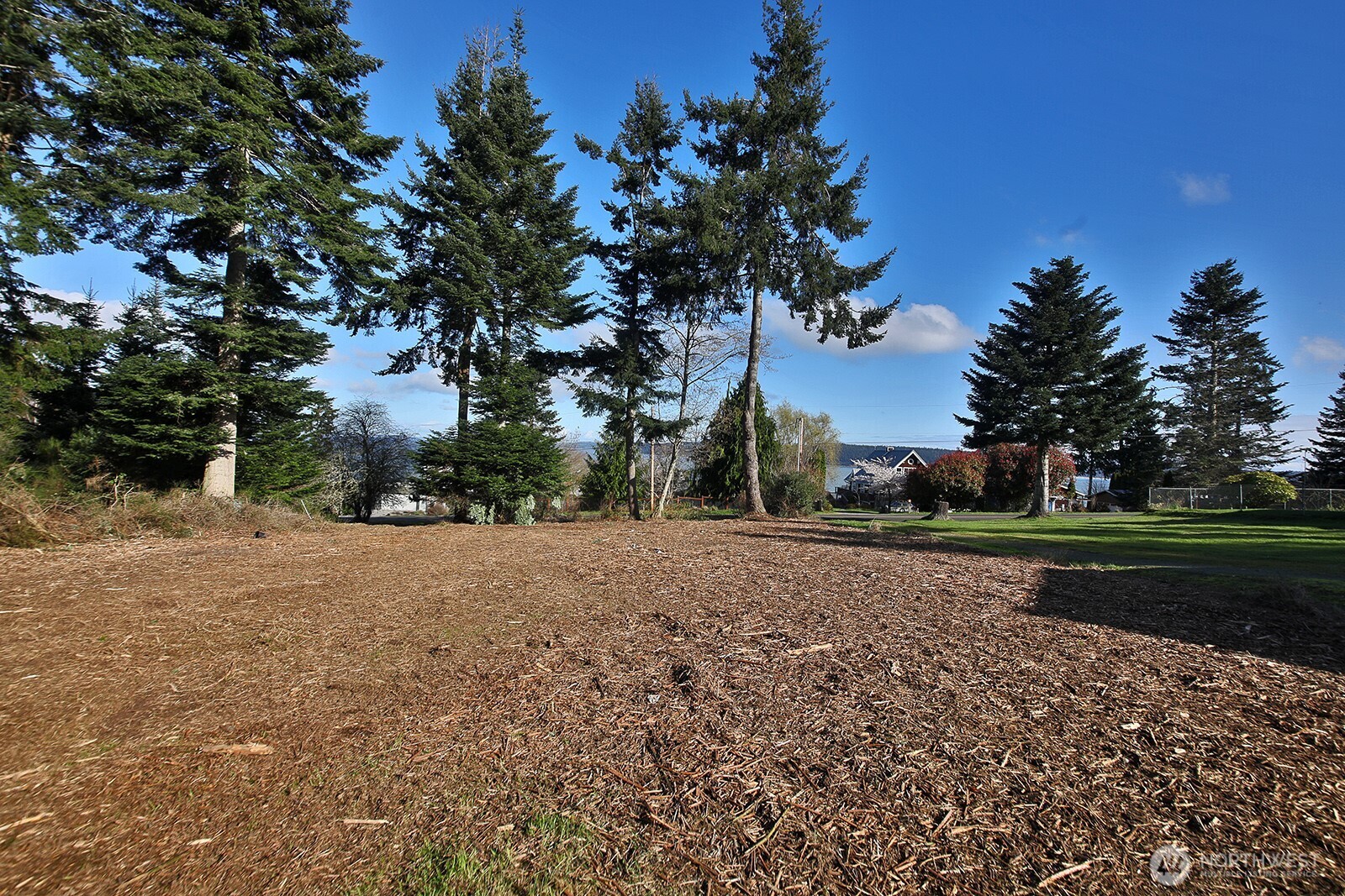 0 Salmonberry Road Property Photo 7